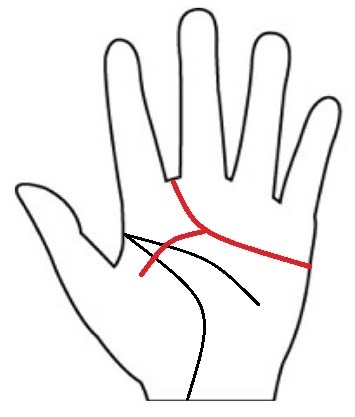 感情線 枝分かれしている感情線 開運したい 幸せになりたい 手相家が教える金運 仕事運 恋愛運 結婚運を上げる方法 開運手相占い